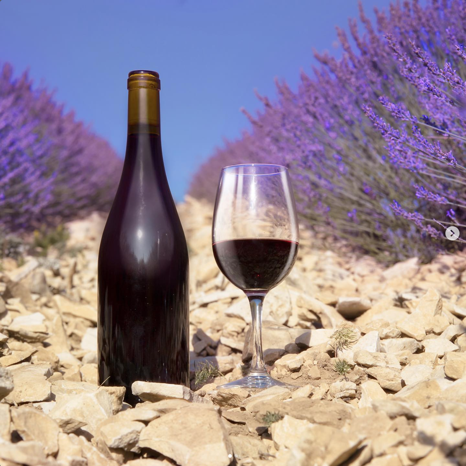 Wine among lavender rows